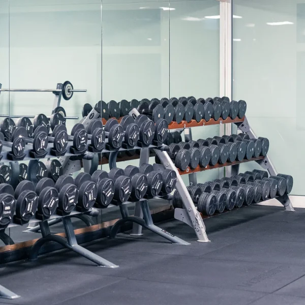 Manubri di ogni dimensione - sala attrezzi trento e ravina